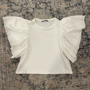 Zara Top with Fun Sleeves